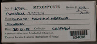 Image Associated With the Occurence